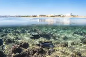 The Three Corners Equinox Beach Resort — Egiptas, Hurgada nuotrauka